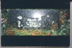 James Merritt Grave, Genessee, NY